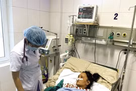 Hanoi still wary of dengue fever