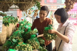 Vietnam may export longans to Australia in 2019