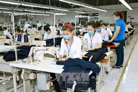 Quality labour improvement needed for sustainable development: experts