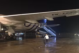 Carriers reschedule flights due to Typhoon Bebinca