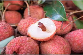 Fresh litchi to be served on Vietnam Airlines’ flights