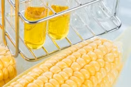 Sugar producers seek help against corn syrup imports