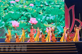 Various activities mark 128th birthday of President Ho Chi Minh