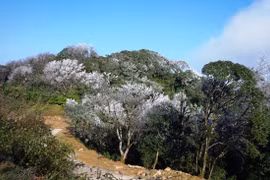 Cao Bang establishes Phia Oac – Phia Den National Park