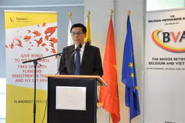 Belgian businesses seek cooperation opportunities in Vietnam