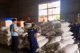 Another 3.3 tonnes of pangolin scales seized in HCM City