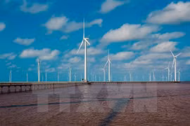 More firms register investment in renewable energy in Bac Lieu 