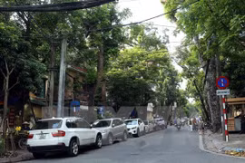 HCM City gets serious about parking