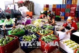 Vietnam increases export of industrial, aquaculture products to China 