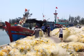 Da Nang joins national efforts to tackle IUU yellow card