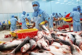Vietnam’s tra fish exports exceed 2 billion USD for first time
