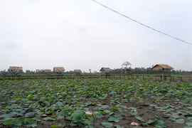 Delta seeks to improve water retention through flood-based livelihoods