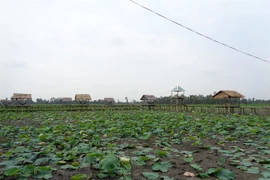 Delta seeks to improve water retention through flood-based livelihoods