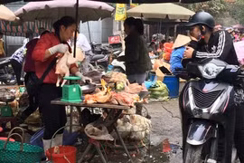 Bird flu outbreak casts pall over Tet