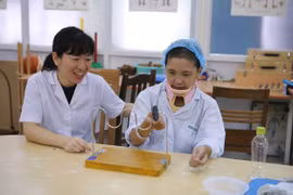 Silent efforts help Vietnam-Japan friendship thrive