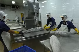 Roundtable seeks solutions to aquaculture sector