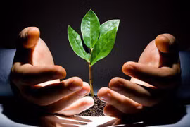 State budget to offer start-ups 30 percent of investment 