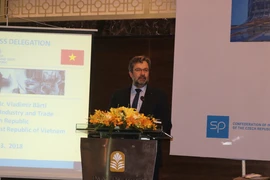 Vietnam, Czech share huge potential for trade cooperation