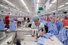 Enhanced capacity of govt, enterprises needed to translate CPTPP into success