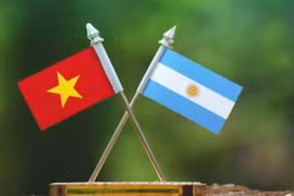 Vietnamese NA delegation visits Argentina 