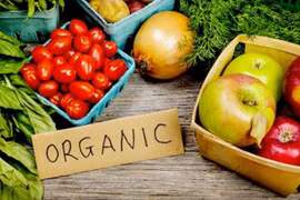Indonesia strengthens export of organic products