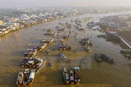 Cai Rang Floating Market to be strong tourism brand of Can Tho