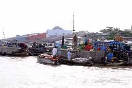 Can Tho serves 1.8 million tourists in two months 