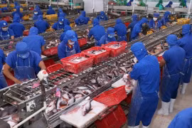 Exports of tra fish to UK increase