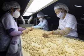 Some 60 pct of local businesses expect better business in Q2