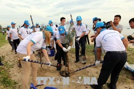UN Habitat willing to work with Vietnam in handling plastic waste