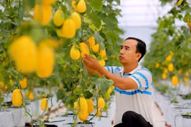 Centre founded to support cooperative development