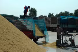 Thailand to expand rice markets in Malaysia, Indonesia