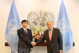 Vietnam active at United Nations’ forums