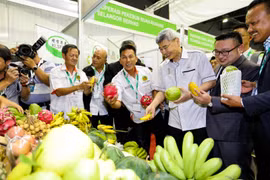 Malaysia moves to step up modernisation of agro-food sector 