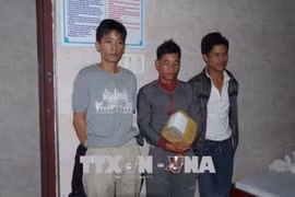 Kon Tum: three arrested for trafficking crystal meth 