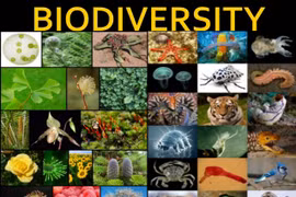 Thailand to create a biodiversity database