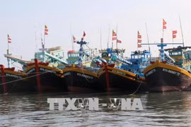 Fishing boats requested to turn on positioning devices round the clock