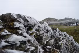 Frost extends in northern region