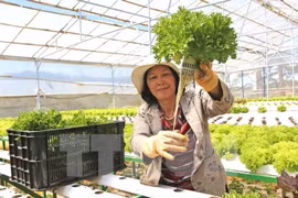 Conference to draw more private investment in agriculture