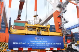 Vietnam plays important role in Mekong-Japan cooperation mechanism