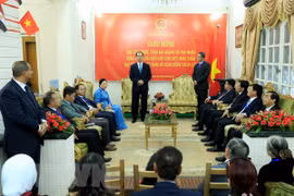 President Tran Dai Quang visits Vietnamese embassy in Egypt 