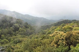 Bach Ma National Park: the ‘sleeping beauty’ of central Vietnam