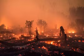 Indonesia works to prevent forest fires during Asian Games