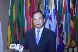 Vietnam reports on UN Convention against Torture implementation