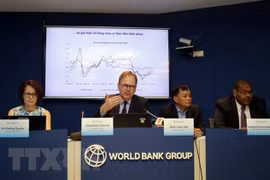 FDI – a successful part in Vietnam’s economic development: WB economist