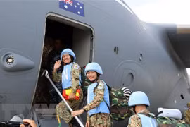 Vietnam, France share medical expertise for field hospital staff 