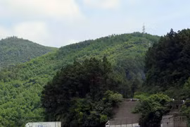 Australia helps Vietnam with sustainable forest management 