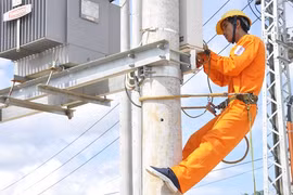 Dak Lak: 2,000 families get access to electricity before Tet