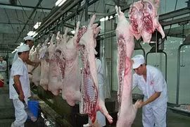 Masan starts meat processing complex in Ha Nam