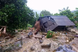 Disaster-resistant houses to be built for Mekong Delta poor 